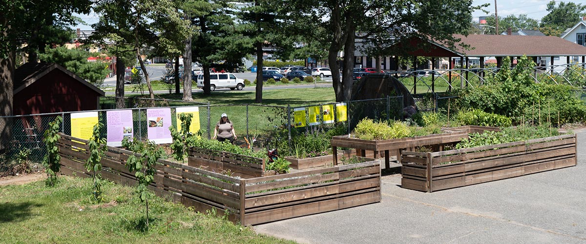 Rutgers Universal Access Garden raised beds