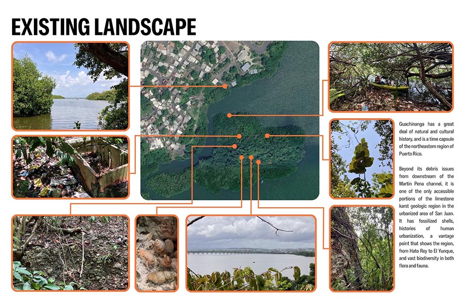Existing Landscape collage