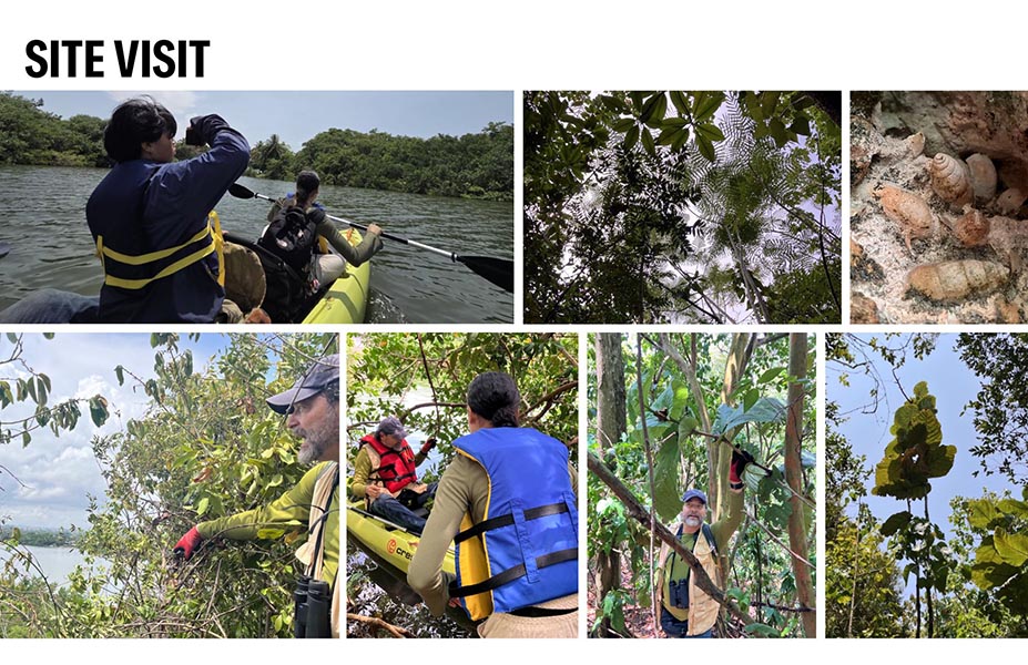 Site Visit collage of people in wooded areas and on water in boat