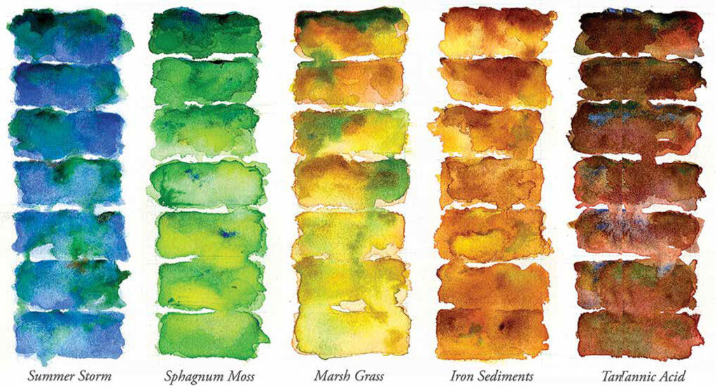 Stacked watercolor swatches, each with a label underneath: Summer Storm, Sphagnum Moss, Marsh Grass, Iron Sediments, Tanannic Acid