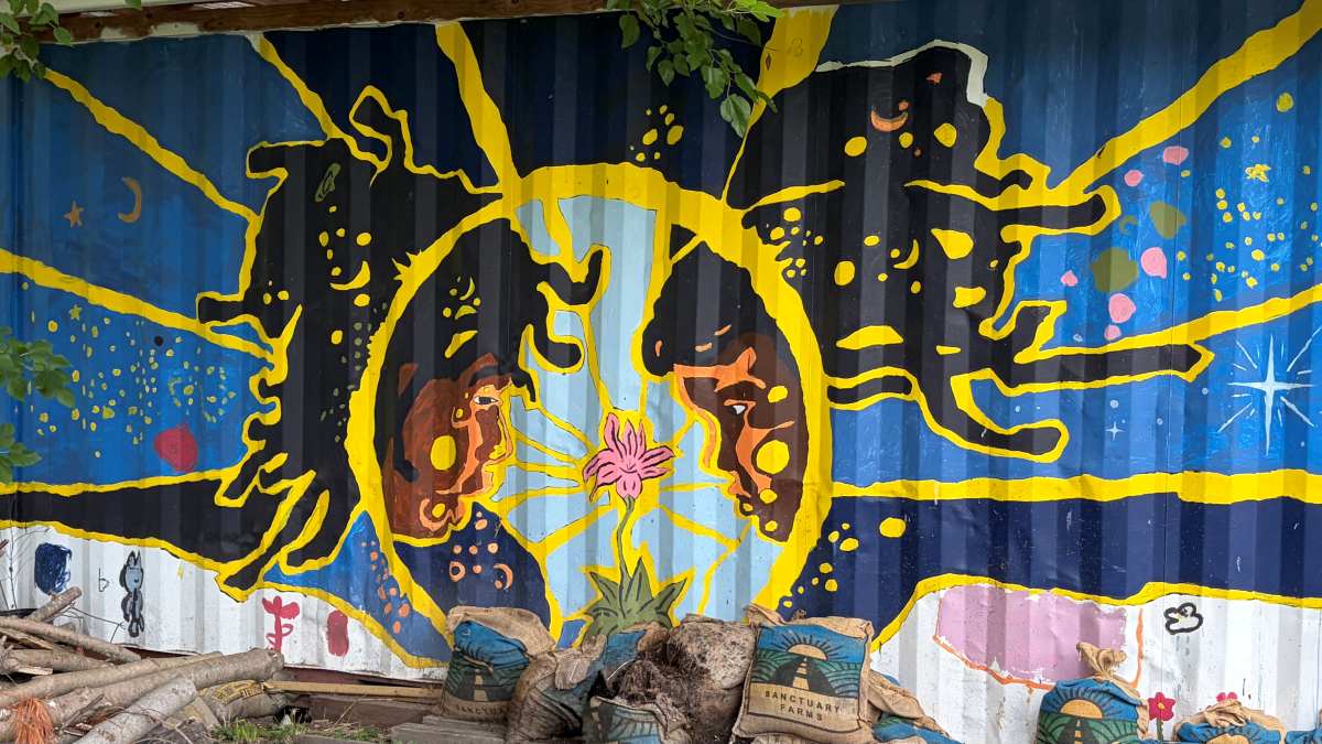 Mural on corrugated wall showing faces encircled by sun-like yellow circle and rays. Sacks labeled "Sanctuary Farms" show in foreground.