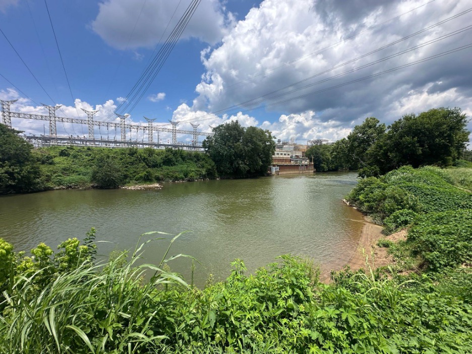 Greenish water surrounded by vegetation with power lines overhead.